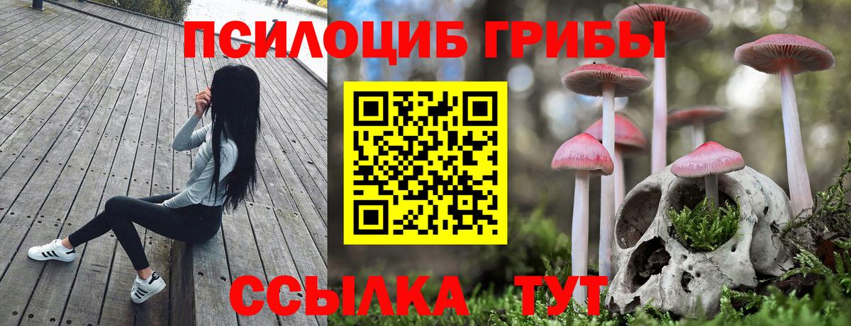 Галлюциногенные грибы GOLDEN TEACHER  Вход с VPN  Рузаевка 
