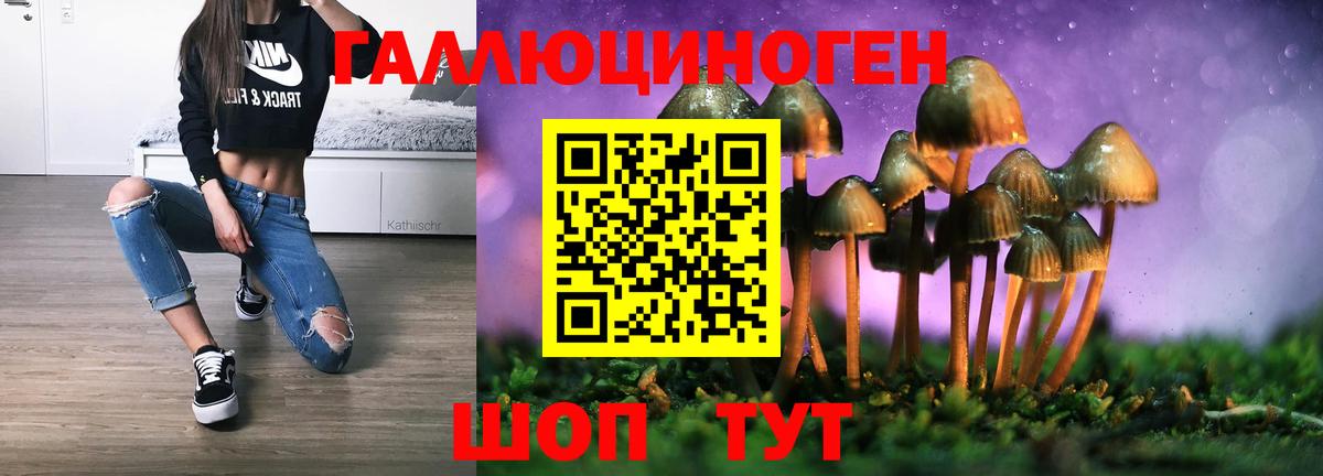 А ПВП Рузаевка