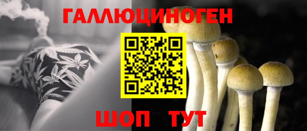Псилоцибиновые грибы Psilocybine cubensis Рузаевка